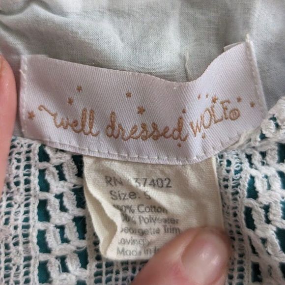 Well Dressed Wolf Lace Jade Dress, Size 5YR (K1) - Picture 4 of 7